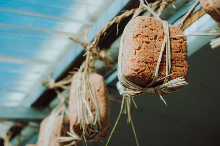 Photo fermentation