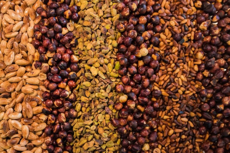 Photo nuts and seeds