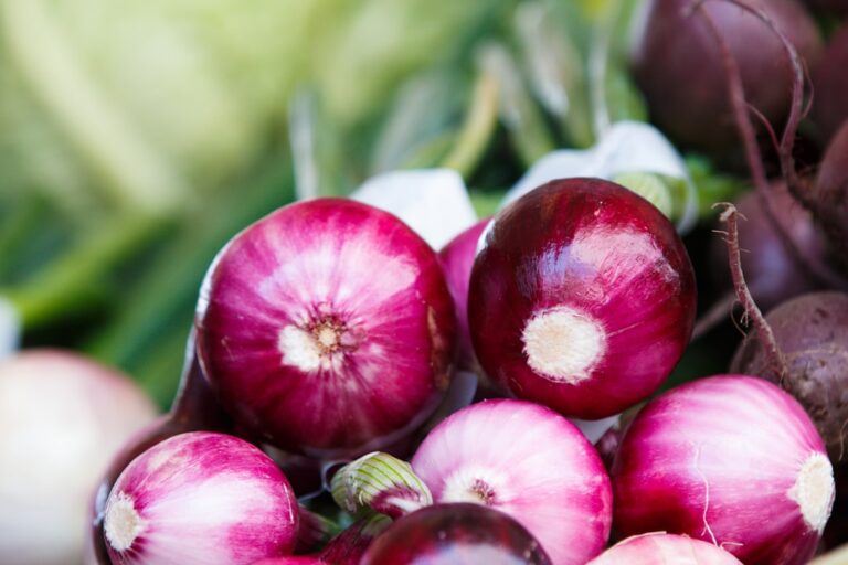 Photo vegetables