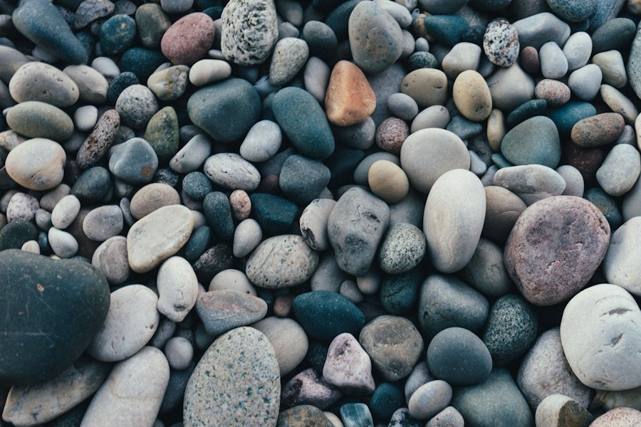 variety