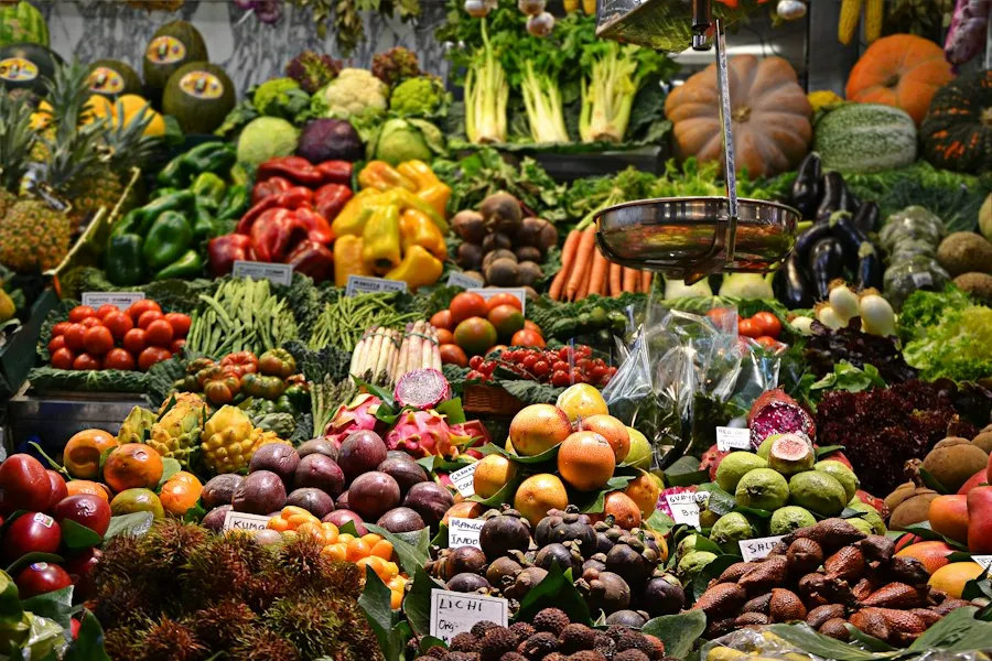 Photo fruits and vegetables guide